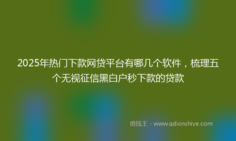 2025年热门下款网贷平台有哪几个软件，梳理五个无视征信黑白户秒下款的贷款