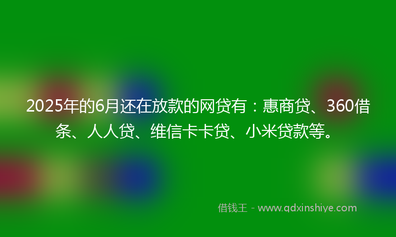 2025年的6月还在放款的网贷有：惠商贷、360借条、人人贷、维信卡卡贷、小米贷款等。