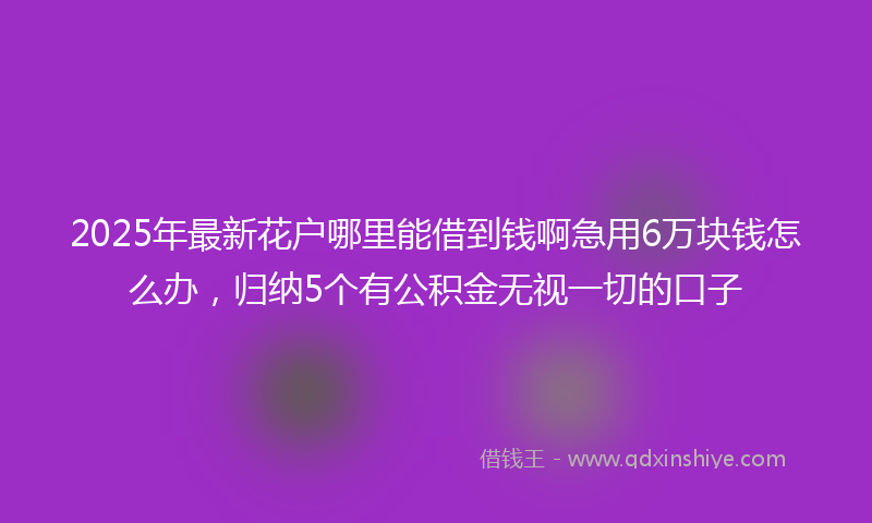 2025年最新花户哪里能借到钱啊急用6万块钱怎么办，归纳5个有公积金无视一切的口子