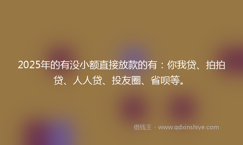 2025年的有没小额直接放款的有：你我贷、拍拍贷、人人贷、投友圈、省呗等。