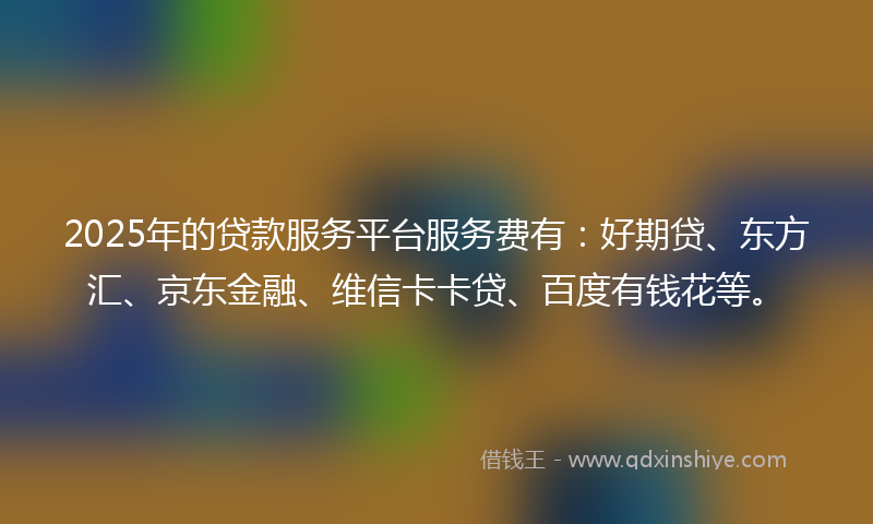 2025年的贷款服务平台服务费有：好期贷、东方汇、京东金融、维信卡卡贷、百度有钱花等。