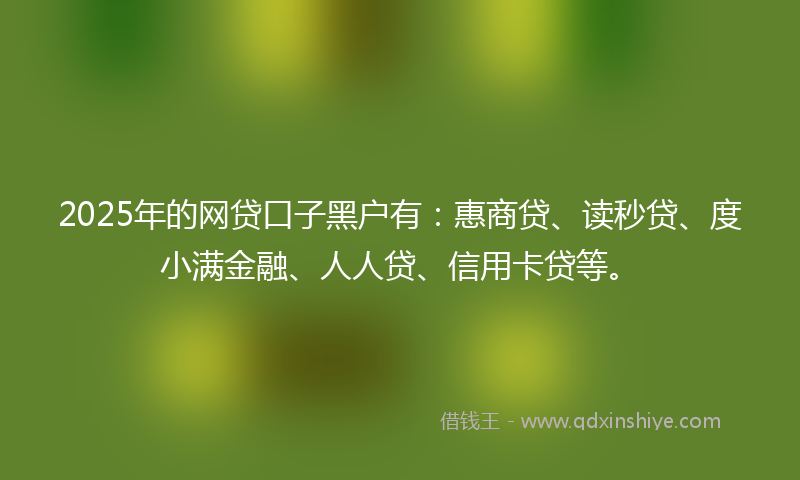 2025年的网贷口子黑户有：惠商贷、读秒贷、度小满金融、人人贷、信用卡贷等。