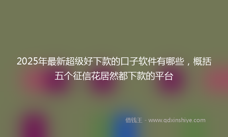 2025年最新超级好下款的口子软件有哪些，概括五个征信花居然都下款的平台