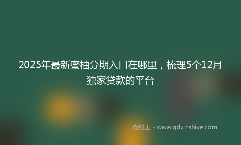 2025年最新蜜柚分期入口在哪里，梳理5个12月独家贷款的平台