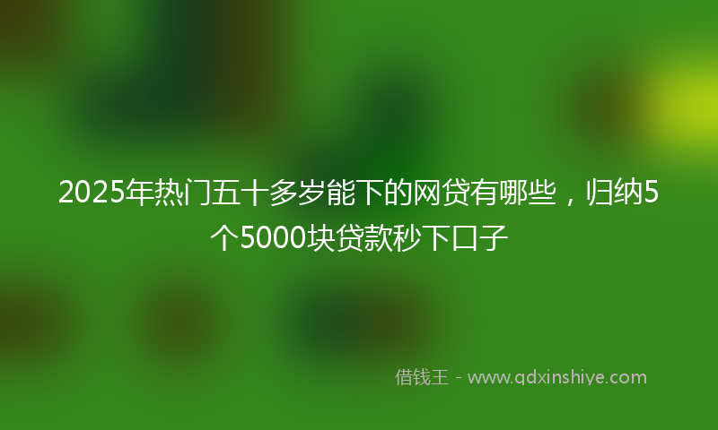 2025年热门五十多岁能下的网贷有哪些，归纳5个5000块贷款秒下口子