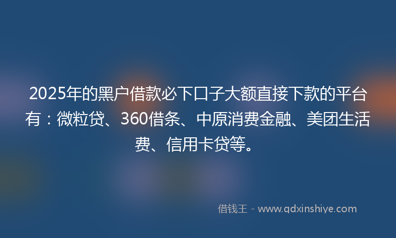 2025年的黑户借款必下口子大额直接下款的平台有：微粒贷、360借条、中原消费金融、美团生活费、信用卡贷等。
