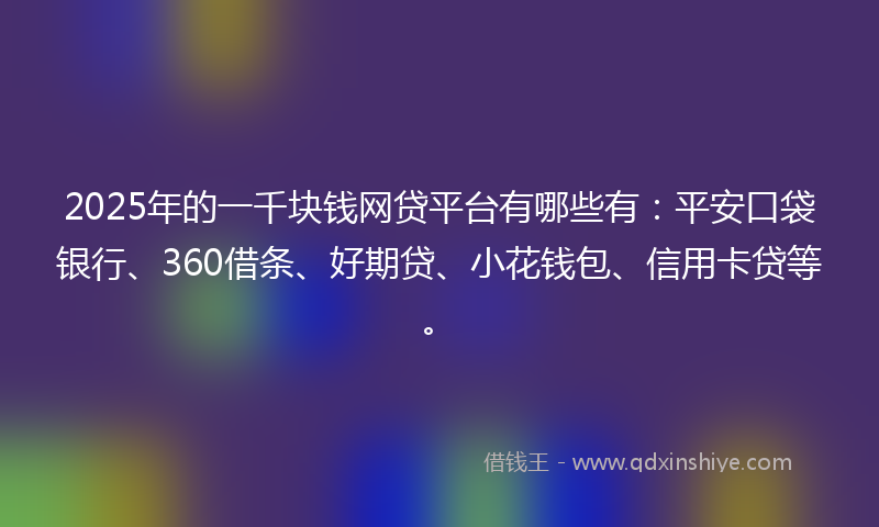 2025年的一千块钱网贷平台有哪些有：平安口袋银行、360借条、好期贷、小花钱包、信用卡贷等。