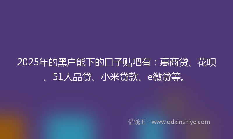 2025年的黑户能下的口子贴吧有：惠商贷、花呗、51人品贷、小米贷款、e微贷等。