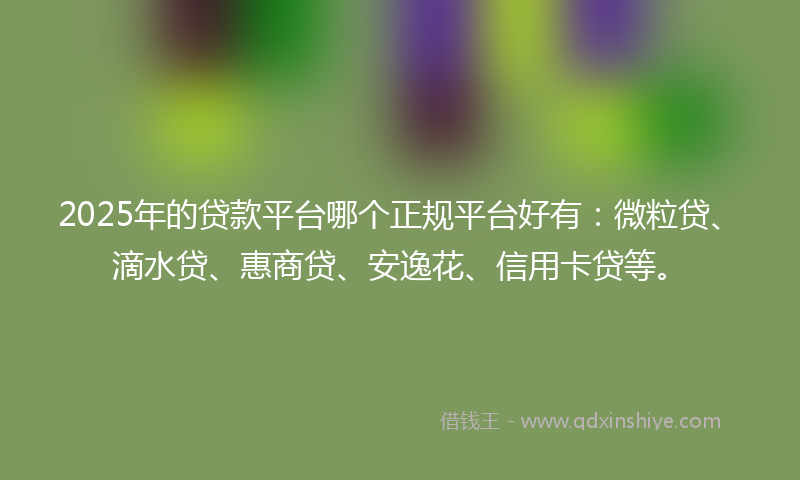 2025年的贷款平台哪个正规平台好有：微粒贷、滴水贷、惠商贷、安逸花、信用卡贷等。