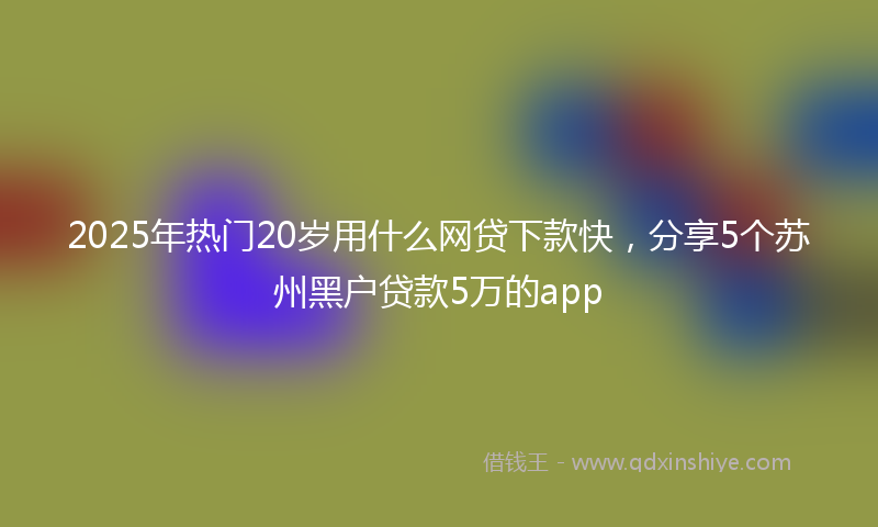 2025年热门20岁用什么网贷下款快，分享5个苏州黑户贷款5万的app