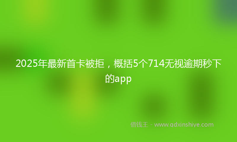 2025年最新首卡被拒,概括5个714无视逾期秒下的app
