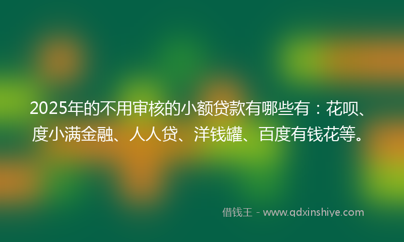 2025年的不用审核的小额贷款有哪些有：花呗、度小满金融、人人贷、洋钱罐、百度有钱花等。