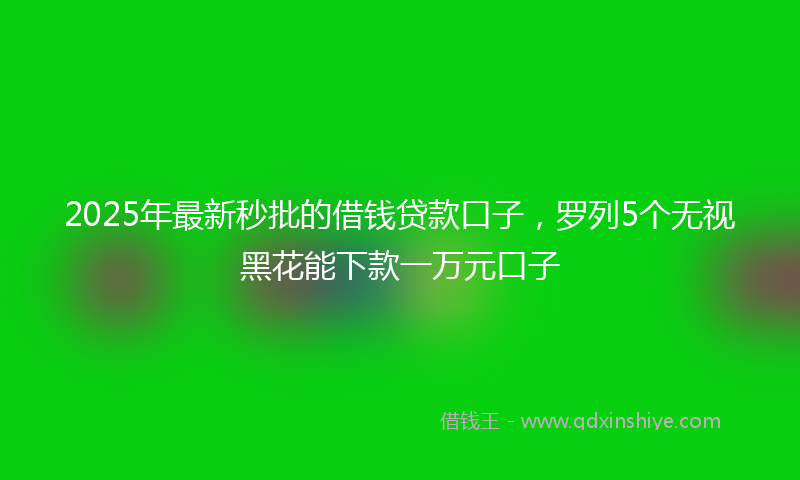 2025年最新秒批的借钱贷款口子，罗列5个无视黑花能下款一万元口子