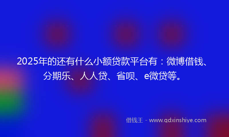 2025年的还有什么小额贷款平台有：微博借钱、分期乐、人人贷、省呗、e微贷等。