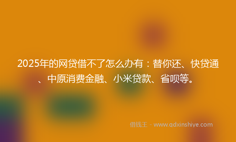 2025年的网贷借不了怎么办有：替你还、快贷通、中原消费金融、小米贷款、省呗等。