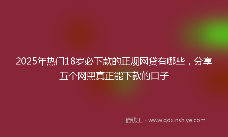 2025年热门18岁必下款的正规网贷有哪些，分享五个网黑真正能下款的口子