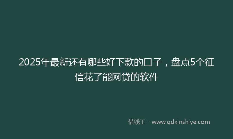 2025年最新还有哪些好下款的口子，盘点5个征信花了能网贷的软件