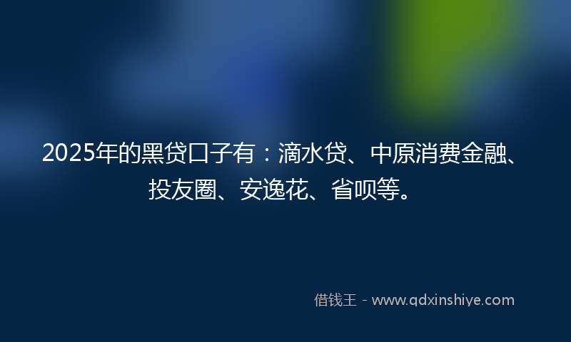 2025年的黑贷口子有：滴水贷、中原消费金融、投友圈、安逸花、省呗等。