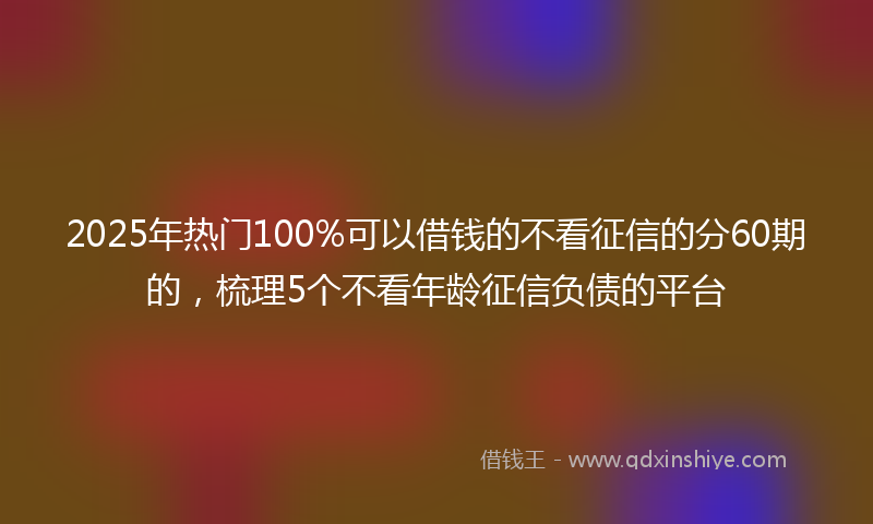 2025年热门100%可以借钱的不看征信的分60期的，梳理5个不看年龄征信负债的平台
