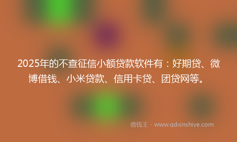 2025年的不查征信小额贷款软件有：好期贷、微博借钱、小米贷款、信用卡贷、团贷网等。