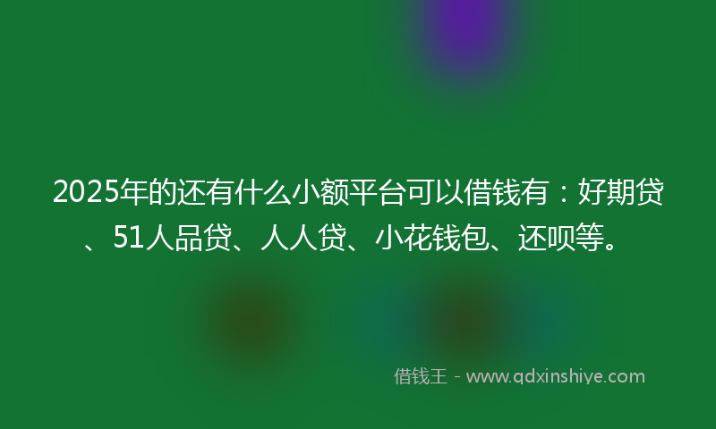 2025年的还有什么小额平台可以借钱有：好期贷、51人品贷、人人贷、小花钱包、还呗等。