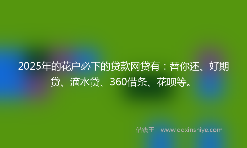 2025年的花户必下的贷款网贷有：替你还、好期贷、滴水贷、360借条、花呗等。