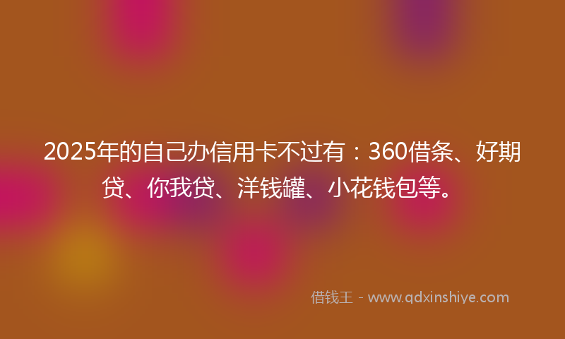 2025年的自己办信用卡不过有：360借条、好期贷、你我贷、洋钱罐、小花钱包等。