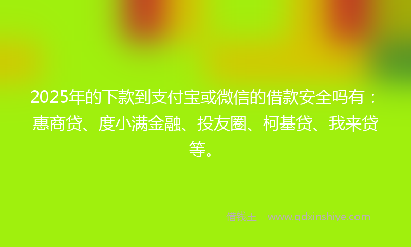 2025年的下款到支付宝或微信的借款安全吗有：惠商贷、度小满金融、投友圈、柯基贷、我来贷等。