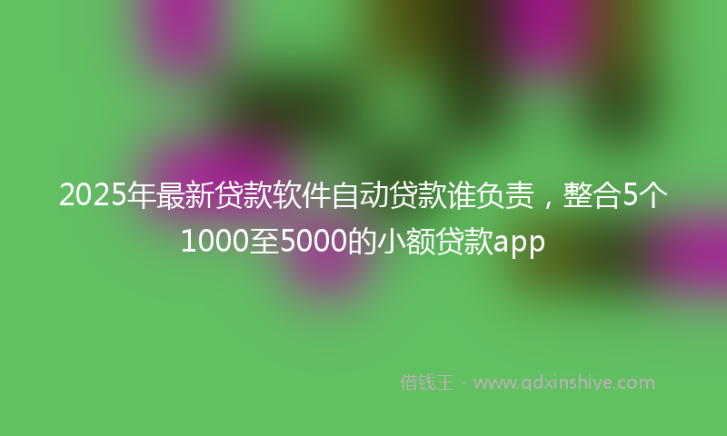 2025年最新贷款软件自动贷款谁负责，整合5个1000至5000的小额贷款app