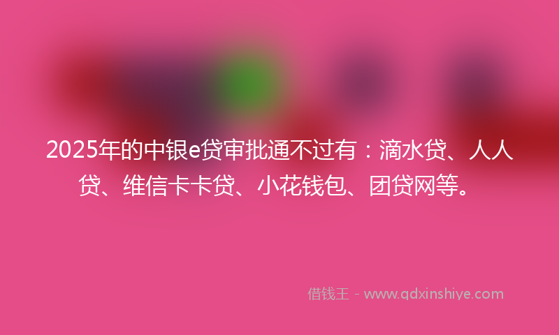 2025年的中银e贷审批通不过有：滴水贷、人人贷、维信卡卡贷、小花钱包、团贷网等。