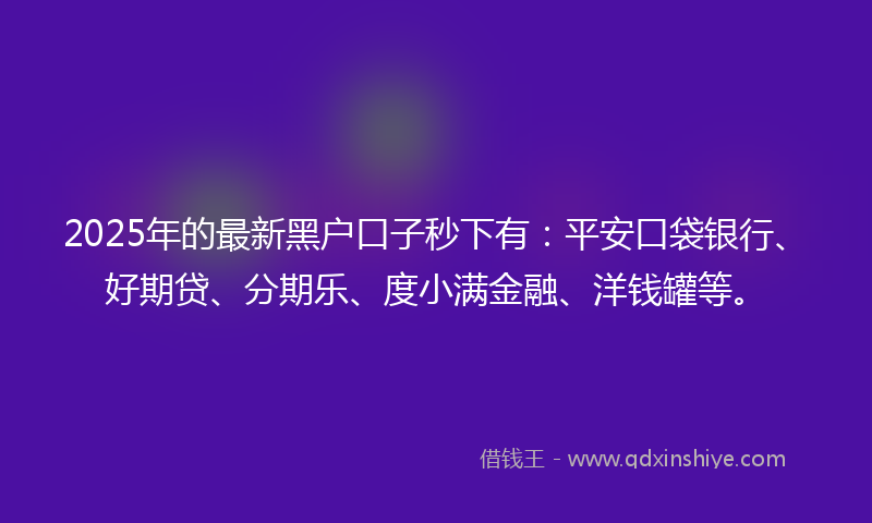 2025年的最新黑户口子秒下有：平安口袋银行、好期贷、分期乐、度小满金融、洋钱罐等。