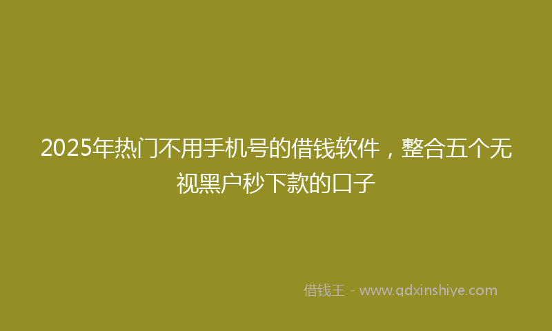 2025年热门不用手机号的借钱软件，整合五个无视黑户秒下款的口子