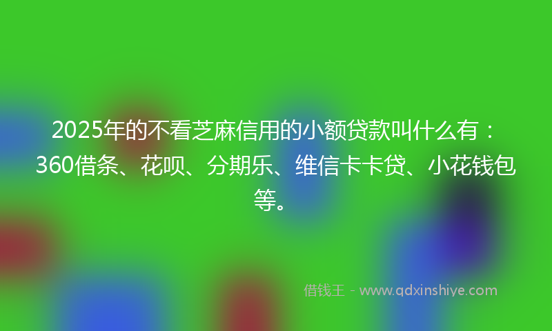 2025年的不看芝麻信用的小额贷款叫什么有：360借条、花呗、分期乐、维信卡卡贷、小花钱包等。