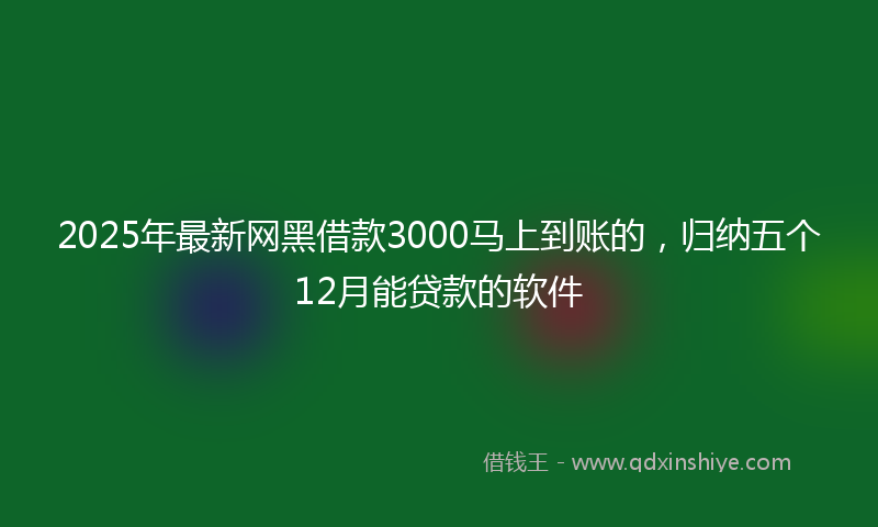 2025年最新网黑借款3000马上到账的，归纳五个12月能贷款的软件