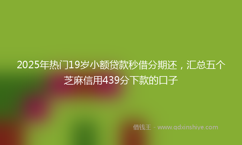 2025年热门19岁小额贷款秒借分期还，汇总五个芝麻信用439分下款的口子