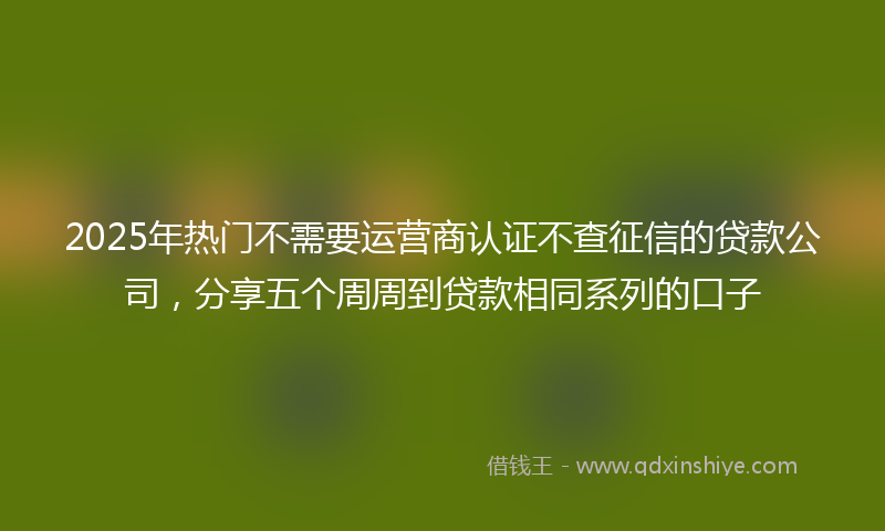 2025年热门不需要运营商认证不查征信的贷款公司，分享五个周周到贷款相同系列的口子
