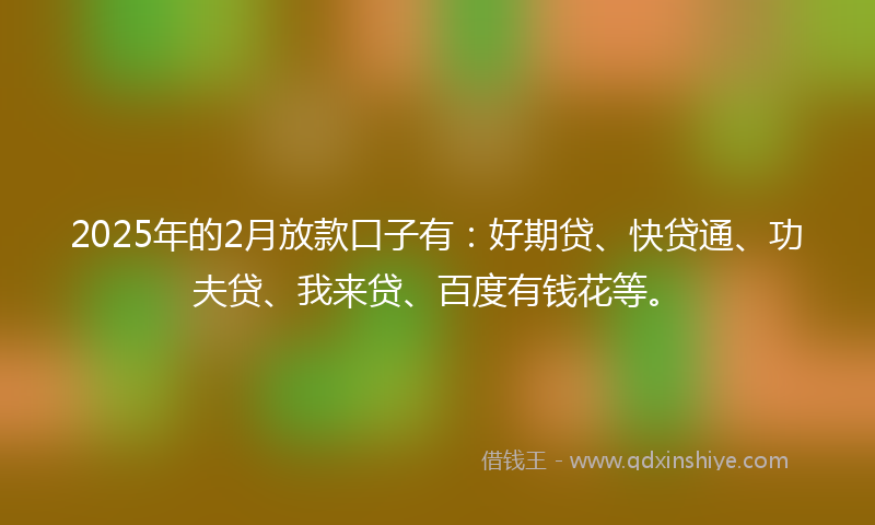 2025年的2月放款口子有：好期贷、快贷通、功夫贷、我来贷、百度有钱花等。