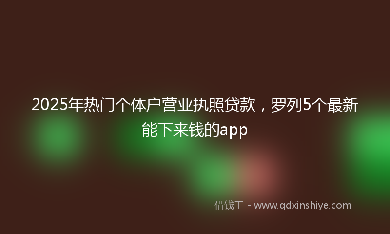 2025年热门个体户营业执照贷款，罗列5个最新能下来钱的app