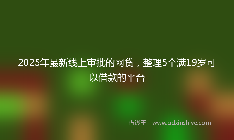 2025年最新线上审批的网贷，整理5个满19岁可以借款的平台