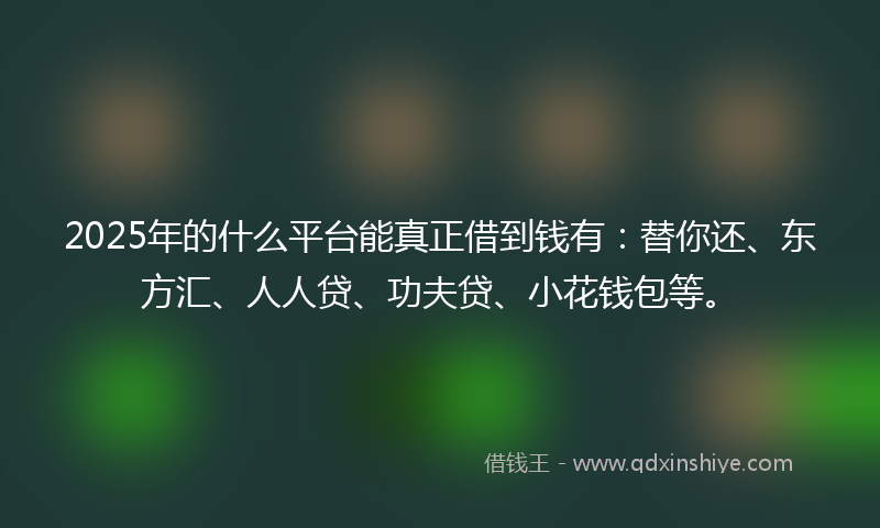 2025年的什么平台能真正借到钱有：替你还、东方汇、人人贷、功夫贷、小花钱包等。