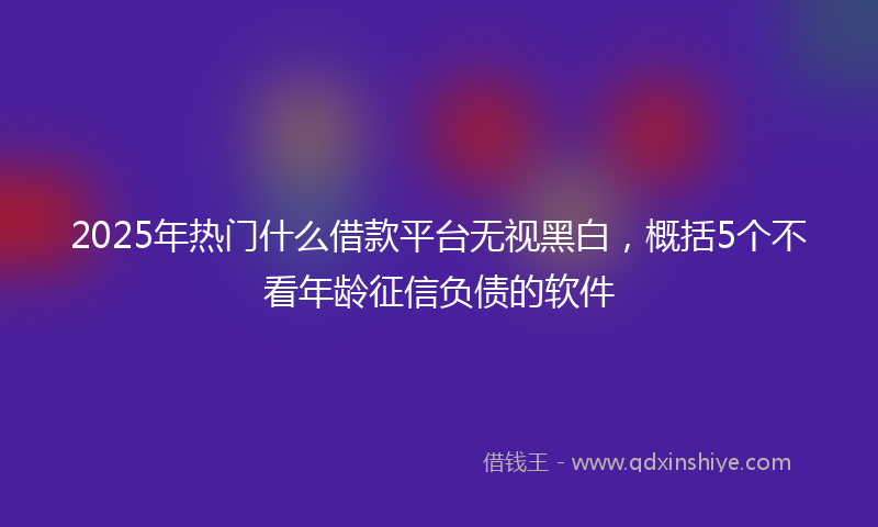 2025年热门什么借款平台无视黑白，概括5个不看年龄征信负债的软件
