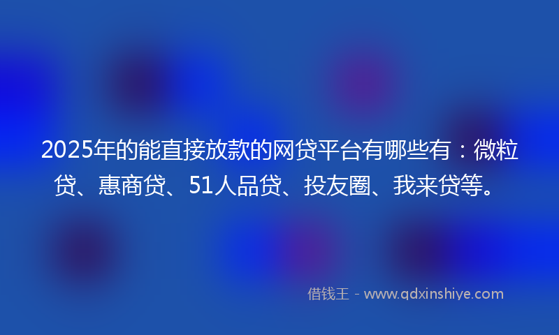 2025年的能直接放款的网贷平台有哪些有：微粒贷、惠商贷、51人品贷、投友圈、我来贷等。
