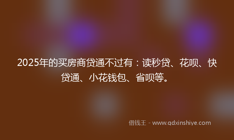 2025年的买房商贷通不过有：读秒贷、花呗、快贷通、小花钱包、省呗等。