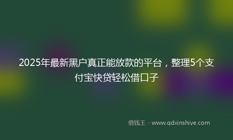 2025年最新黑户真正能放款的平台，整理5个支付宝快贷轻松借口子