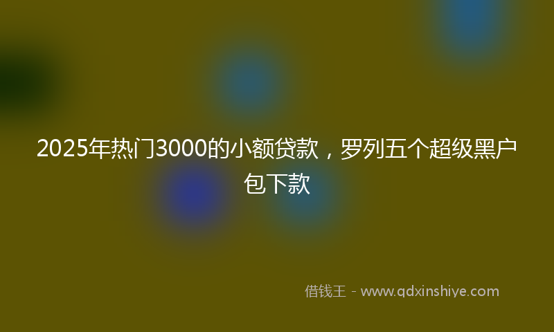 2025年热门3000的小额贷款，罗列五个超级黑户包下款