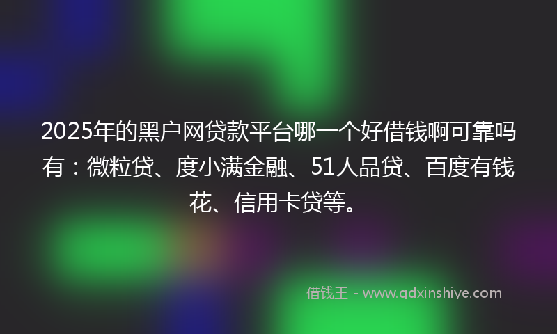 2025年的黑户网贷款平台哪一个好借钱啊可靠吗有：微粒贷、度小满金融、51人品贷、百度有钱花、信用卡贷等。