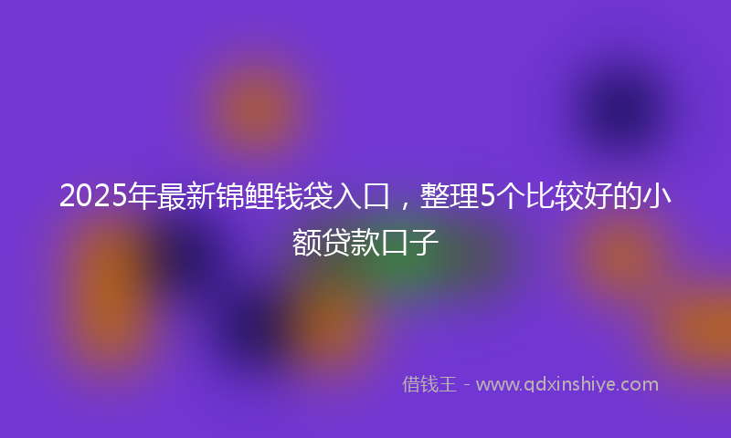2025年最新锦鲤钱袋入口，整理5个比较好的小额贷款口子