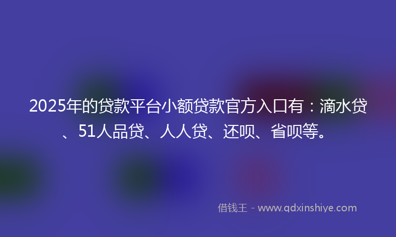 2025年的贷款平台小额贷款官方入口有：滴水贷、51人品贷、人人贷、还呗、省呗等。