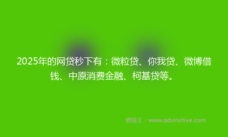 2025年的网贷秒下有：微粒贷、你我贷、微博借钱、中原消费金融、柯基贷等。