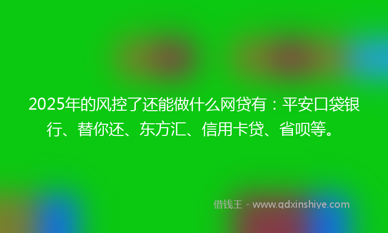2025年的风控了还能做什么网贷有：平安口袋银行、替你还、东方汇、信用卡贷、省呗等。
